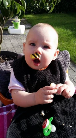 Bee-Patch -Sea to Summit Solde anti venin guepes abeilles frelon bourdon beepatch