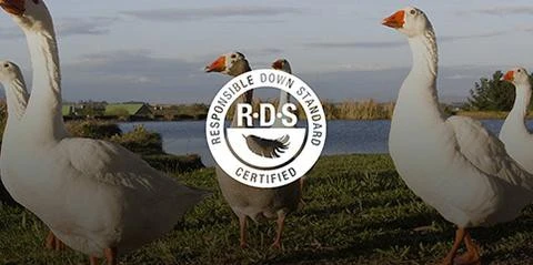 Sea To Summit Ascent ACII 20 Sea To Summit Ascent ACII – Image 20