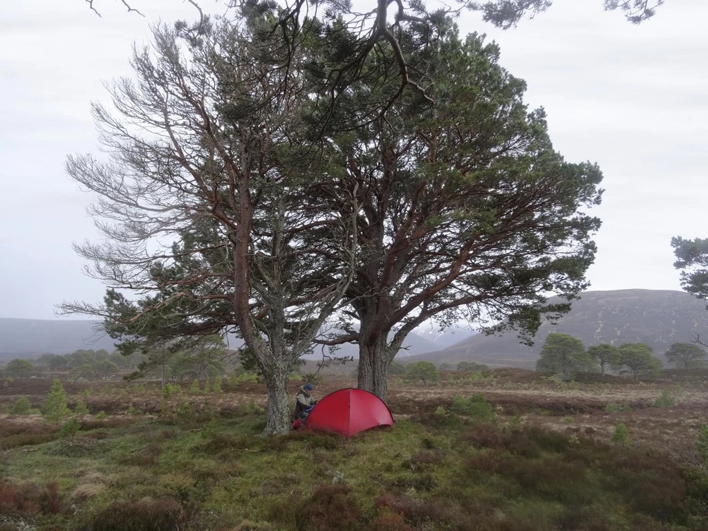 Hilleberg Niak 7 Hilleberg Niak – Image 7